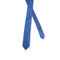 HERMES Ties Men