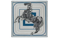 HERMES Silk Scarves Unisex Multicolor