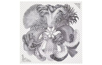 HERMES Silk Scarves Women's White/Black/Gray