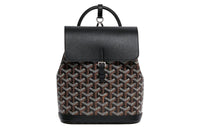 GOYARD Alpin Canvas With Leather Backpack Mini Unisex Black