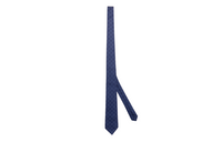 LOUIS VUITTON Damier Classique Tie