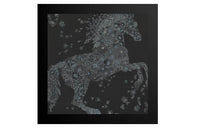 HERMES Silk Scarves Unisex Black