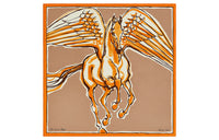HERMES Shawls Women's Brown
