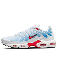 Nike Air Max Plus 'Tide' 604133-423