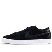 Nike Zoom Bruin SB 'Black History Month' 366665-010