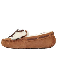 (WMNS) UGG Dakota Double Bow (Bowknot) كستنائي 1118913-CHE