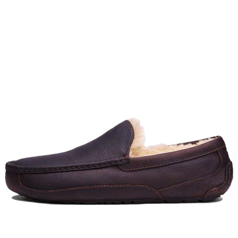 حذاء رياضي كاجوال UGG Ascot من جلد البقر المبطن بالصوف، مناسب للارتداء في الأماكن المغلقة والمفتوحة، طراز 5379-CTEA