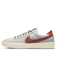 حذاء Nike Bruin React SB 'Photon Dust Canyon Rust' CJ1661-003