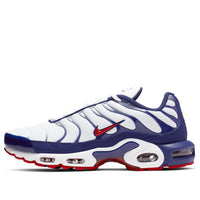Nike Air Max Plus 'Red White Blue' CJ9928-100