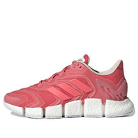(WMNS) أديداس Climacool Vento 'Hazard Rose' FW6841