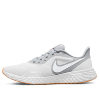 Nike Revolution 5 'Platinum Tint Grey Fog' BQ3204-019
