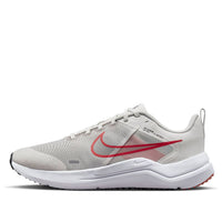 Nike Downshifter 'Silver Grey' DD9293-009