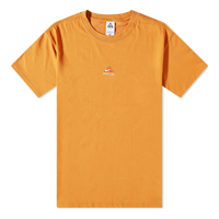 Nike ACG OG Logo T-Shirt 'Monarch' DQ1815-815