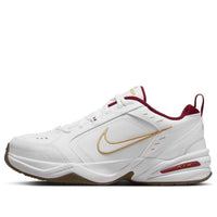 Nike Air Monarch IV 'Year Of The Snake' IB4607-171