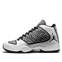 Air Jordan 29 'Cement' 695515-070