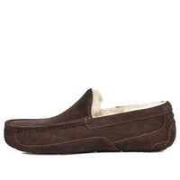 حذاء رياضي كاجوال مريح من UGG Ascot Slipper، مبطن بالصوف، بني، 1101110-ESP