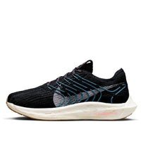 (WMNS) Nike Zoom Pegasus Turbo Next Nature 'Black Noise Aqua' DM3414-004