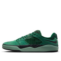 Nike Ishod Wair SB 'Gorge Green' DC7232-301