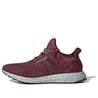 (WMNS) adidas UltraBoost 1.0 'Shadow Red' ID9676