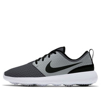 (WMNS) Nike Roshe Golf 'Anthracite Particle Grey' CD6066-003