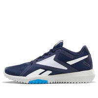 Reebok Flexagon Force 2 'Horizon Blue' FX0154