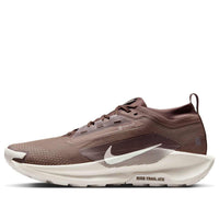 Nike Pegasus Trail 5 Gore-Tex 'Mink Brown' HQ7494-200